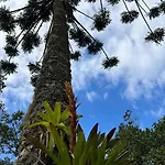 Campos Do Jordao Chales