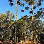 Campos Do Jordao Chales